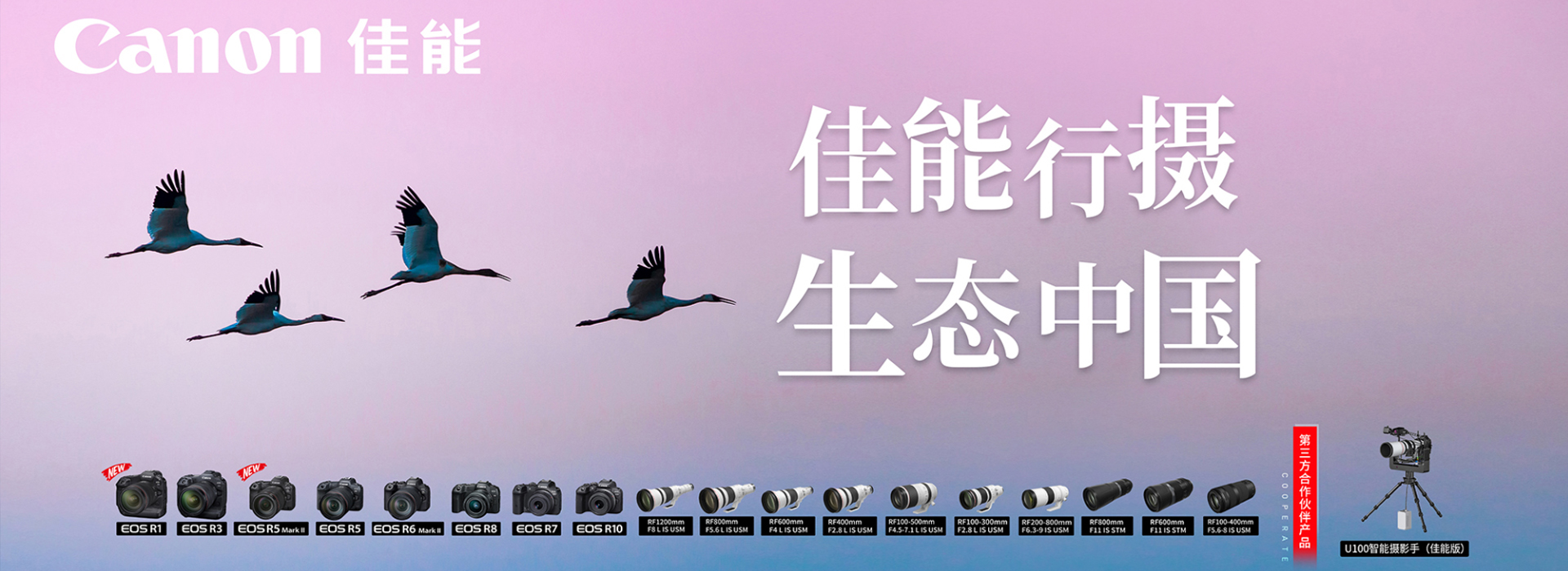 佳能6